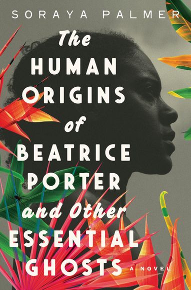 Book cover of The Human Origins of Beatrice Porter